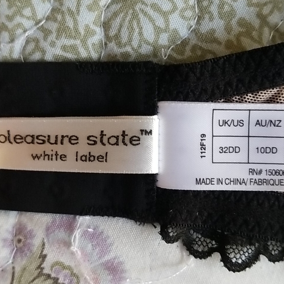 Pleasure State Daria Collection Push-up Plunge Bra - Picture 12 of 12